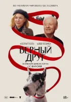  Верный друг смотреть онлайн (2024) 